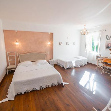 Domaine De Marseillens Bed and Breakfast Palaja Eksteriør billede